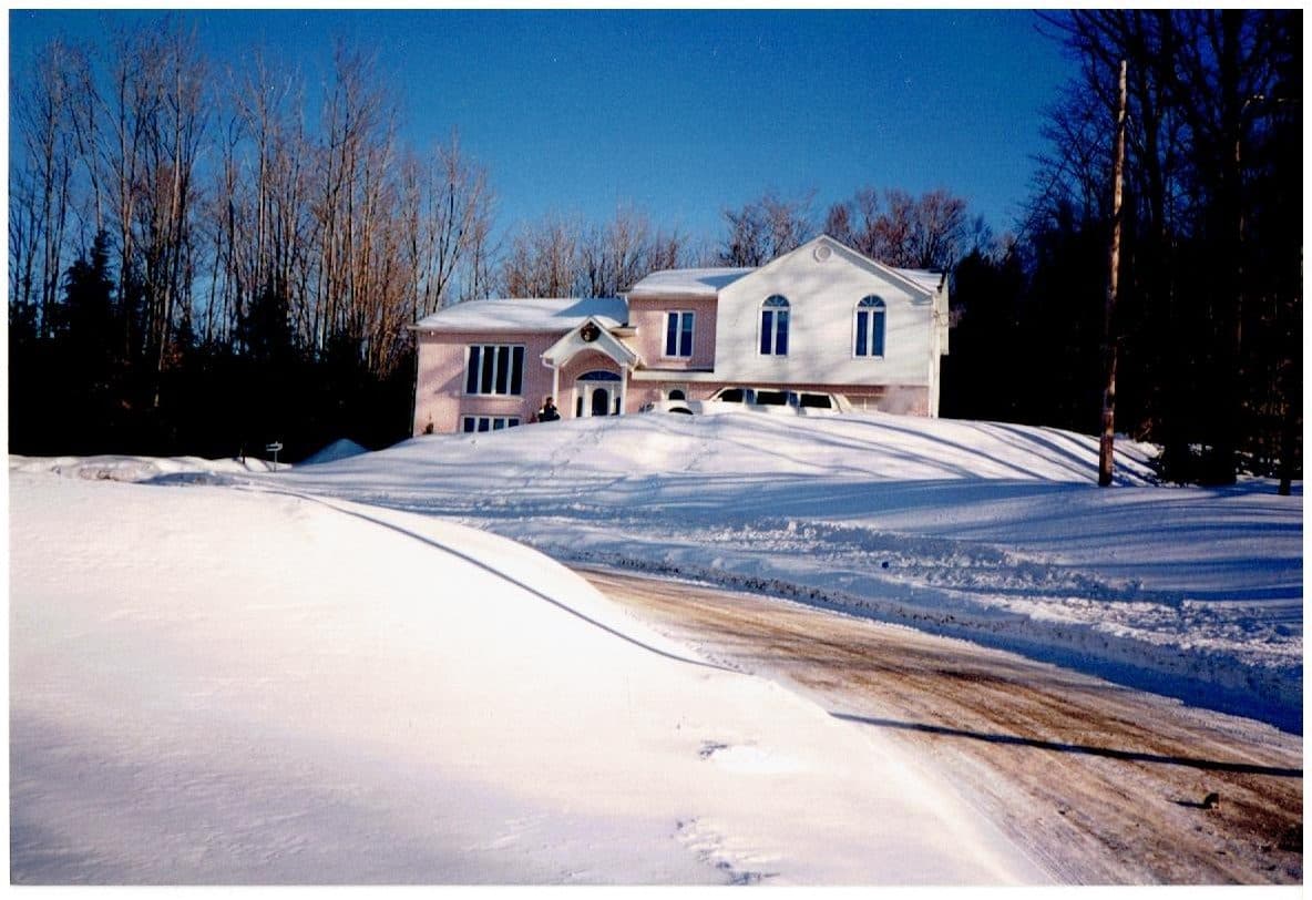 Souvenir du salon, époque 1990 — photo 1