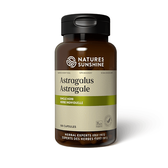 Astragalus-40