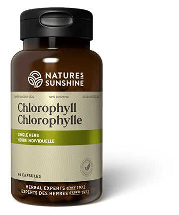 Chlorophyll Softgels