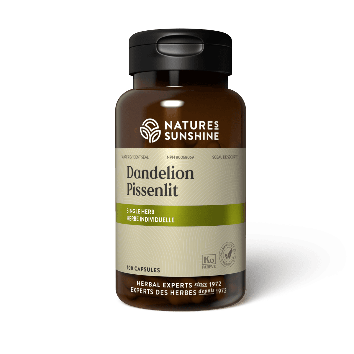 Dandelion_250