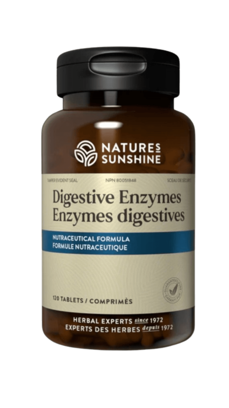 Enzymes Digestives