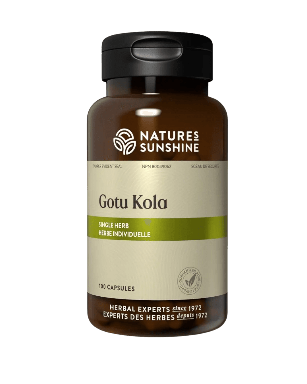 Gotu Kola