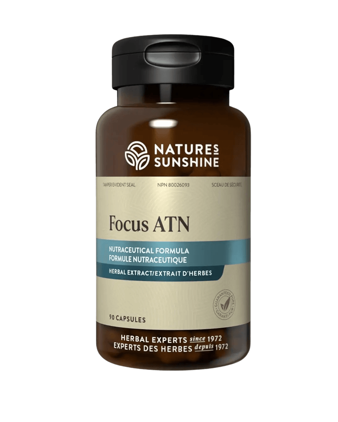 Focus ATN