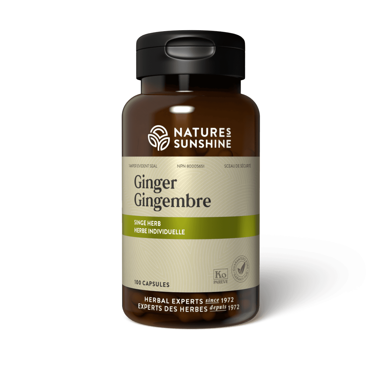 Ginger_300